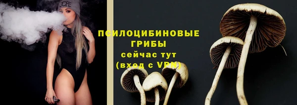 PSILOCYBIN Аркадак